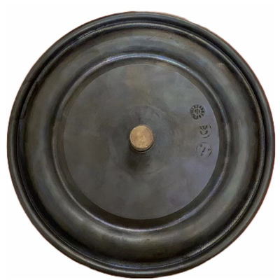 DN8 DN200 Plunger Valve Pump Metering Pump Fit Diaphragm PTFE EPDM