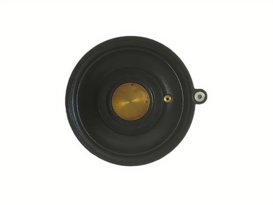 Zawór elektromagnetyczny z membraną o rozmiarze otworu 3/4 cala, charakteryzujący się wysoką odpornością na korozję i typem cewki elektromagnetycznej dla wydajności zaworu